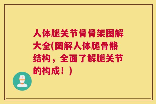 人体腿关节骨骨架图解大全(图解人体腿骨骼结构，全面了解腿关节的构成！)