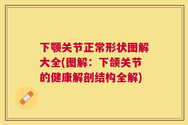 下颚关节正常形状图解大全(图解：下颌关节的健康解剖结构全解)