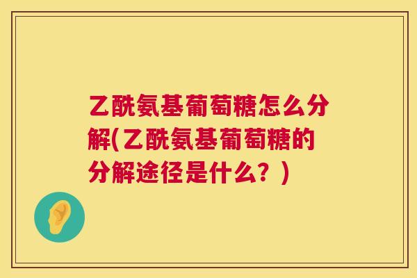 乙酰氨基葡萄糖怎么分解(乙酰氨基葡萄糖的分解途径是什么？)