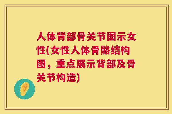 人体背部骨关节图示女性(女性人体骨骼结构图,重点展示背部及骨关节构造) 人体背部骨关节图示女性(女性人体骨骼结构图,重点展示背部及骨关节构造)