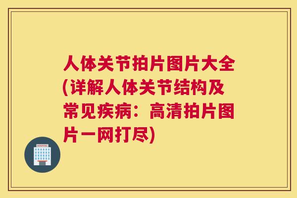 人体关节拍片图片大全(详解人体关节结构及常见：高清拍片图片一网打尽)