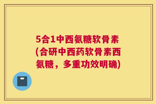 5合1中西氨糖软骨素(合研中西药软骨素西氨糖，多重功效明确)