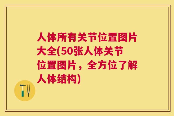 人体所有关节位置图片大全(50张人体关节位置图片,全方位了解人体结构)