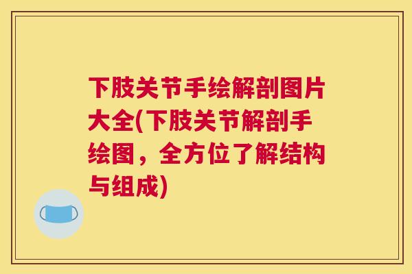 下肢关节手绘解剖图片大全(下肢关节解剖手绘图,全方位了解结构与组成) 下肢关节手绘解剖图片大全(下肢关节解剖手绘图,全方位了解结构与组成)