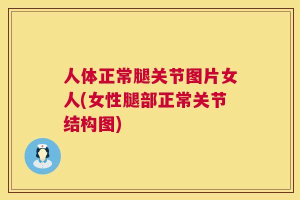 人体正常腿关节图片女人(女性腿部正常关节结构图)