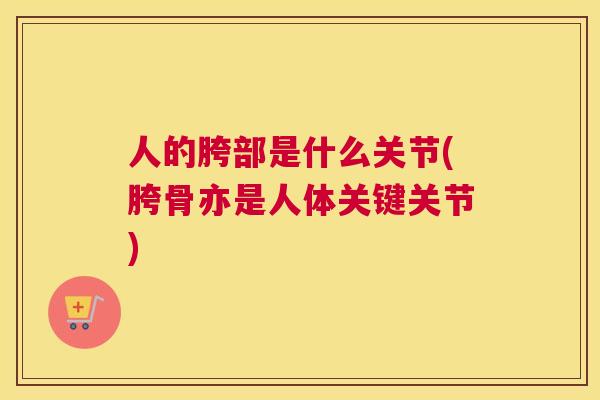 人的胯部是什么关节(胯骨亦是人体关键关节) 人的胯部是什么关节(胯骨亦是人体关键关节)