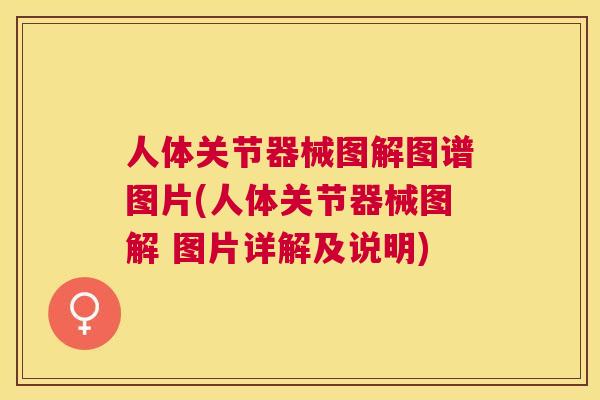 人体关节器械图解图谱图片(人体关节器械图解 图片详解及说明)