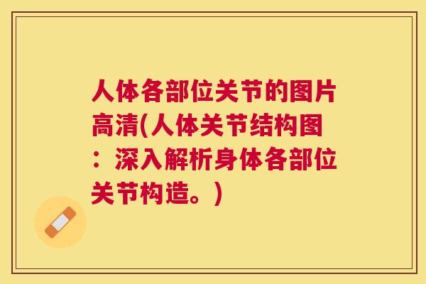 人体各部位关节的图片高清(人体关节结构图:深入解析身体各部位关节构造。) 人体各部位关节的图片高清(人体关节结构图:深入解析身体各部位关节构造。)