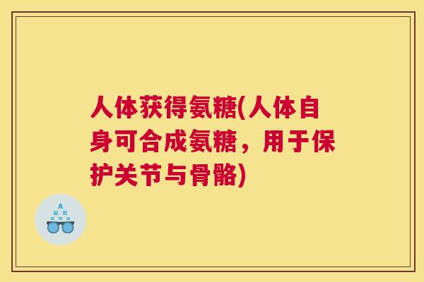人体获得氨糖(人体自身可合成氨糖,用于保护关节与骨骼) 人体获得氨糖(人体自身可合成氨糖,用于保护关节与骨骼)