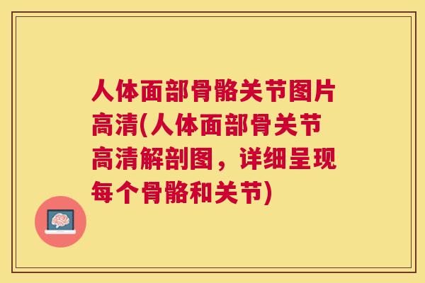 人体面部骨骼关节图片高清(人体面部骨关节高清解剖图,详细呈现每个骨骼和关节)