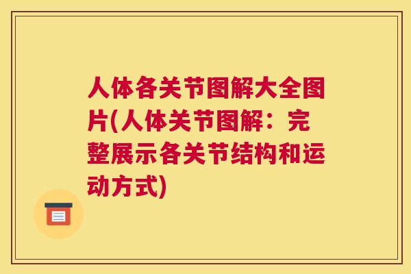 人体各关节图解大全图片(人体关节图解:完整展示各关节结构和运动方式)