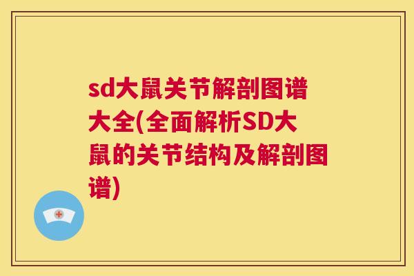 sd大鼠关节解剖图谱大全(全面解析SD大鼠的关节结构及解剖图谱)