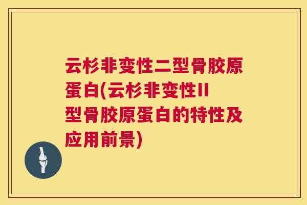 云杉非变性二型骨胶原蛋白(云杉非变性II型骨胶原蛋白的特性及应用前景)