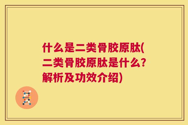 什么是二类骨胶原肽(二类骨胶原肽是什么?解析及功效介绍)