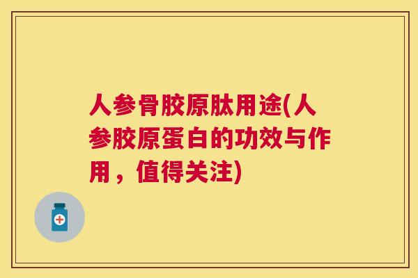 人参骨胶原肽用途(人参胶原蛋白的功效与作用,值得关注)