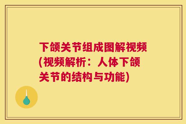 下颌关节组成图解视频(视频解析:人体下颌关节的结构与功能)