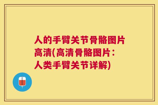 人的手臂关节骨骼图片高清(高清骨骼图片:人类手臂关节详解)