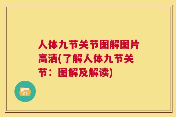 人体九节关节图解图片高清(了解人体九节关节：图解及解读)