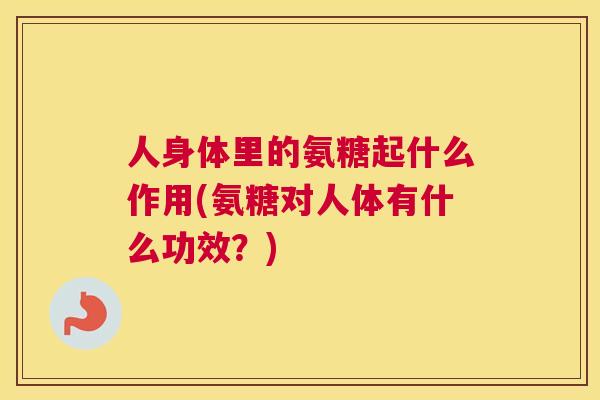人身体里的氨糖起什么作用(氨糖对人体有什么功效?)