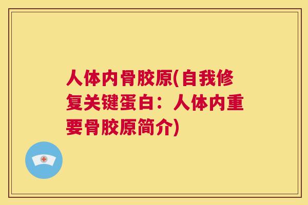 人体内骨胶原(自我修复关键蛋白:人体内重要骨胶原简介)