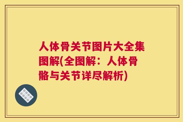 人体骨关节图片大全集图解(全图解:人体骨骼与关节详尽解析)