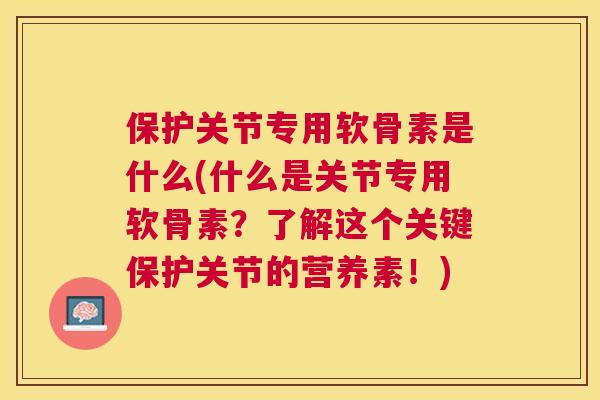 保护关节专用软骨素是什么(什么是关节专用软骨素？了解这个关键保护关节的营养素！)