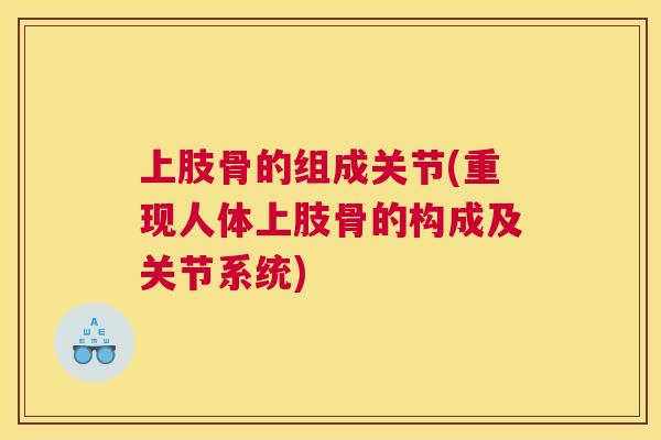 上肢骨的组成关节(重现人体上肢骨的构成及关节系统)
