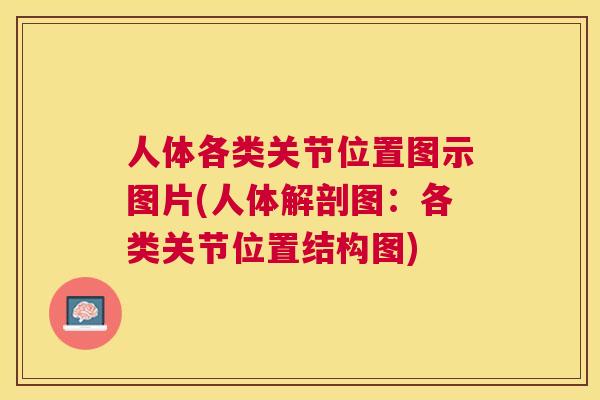 人体各类关节位置图示图片(人体解剖图:各类关节位置结构图)