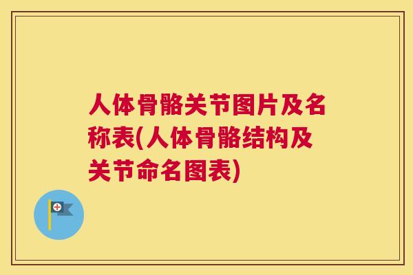 人体骨骼关节图片及名称表(人体骨骼结构及关节命名图表) 人体骨骼关节图片及名称表(人体骨骼结构及关节命名图表)
