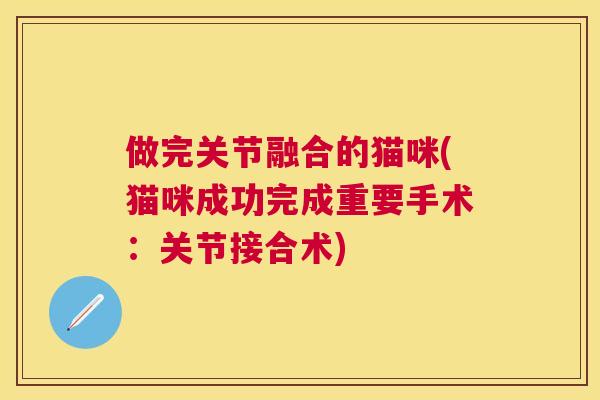 做完关节融合的猫咪(猫咪成功完成重要手术：关节接合术)