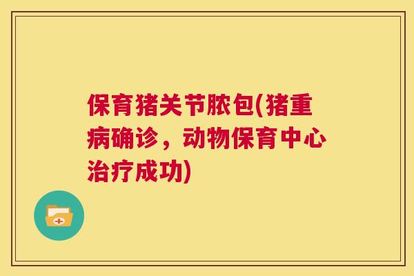 保育猪关节脓包(猪重确诊，动物保育中心成功)
