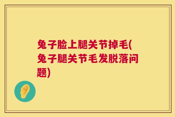 兔子脸上腿关节掉毛(兔子腿关节毛发脱落问题)