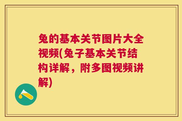 兔的基本关节图片大全视频(兔子基本关节结构详解，附多图视频讲解)