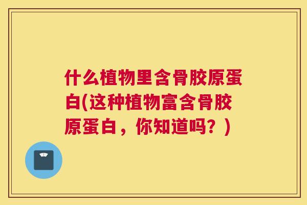 什么植物里含骨胶原蛋白(这种植物富含骨胶原蛋白，你知道吗？)