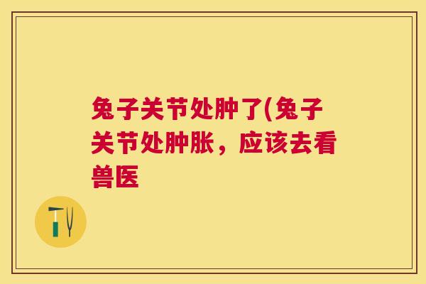 兔子关节处肿了(兔子关节处肿胀,应该去看兽医
