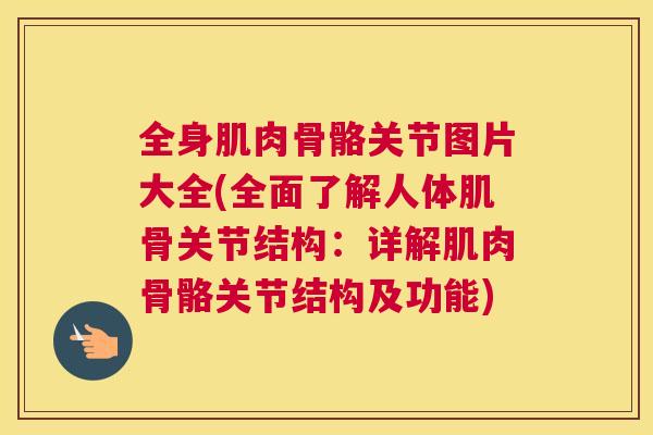 全身肌肉骨骼关节图片大全(全面了解人体肌骨关节结构:详解肌肉骨骼关节结构及功能)