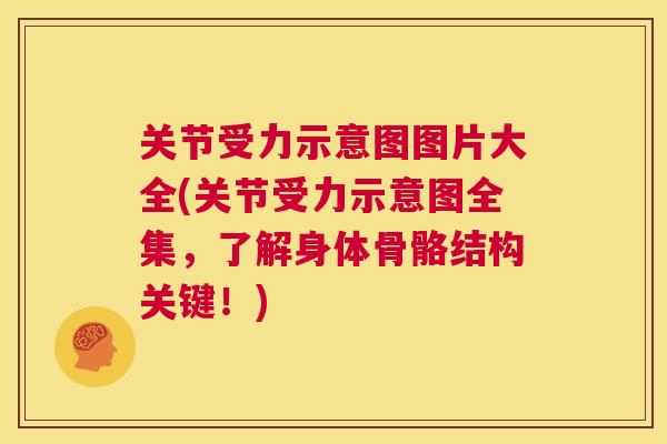 关节受力示意图图片大全(关节受力示意图全集,了解身体骨骼结构关键!)