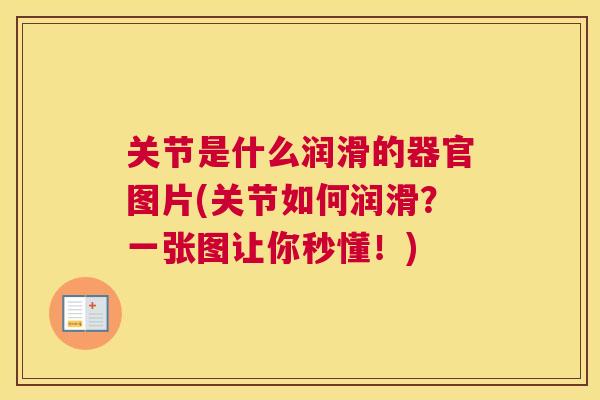 关节是什么润滑的器官图片(关节如何润滑？一张图让你秒懂！)