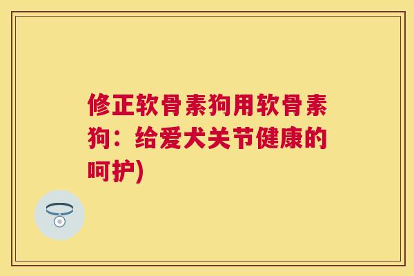 修正软骨素狗用软骨素狗：给爱犬关节健康的呵护)