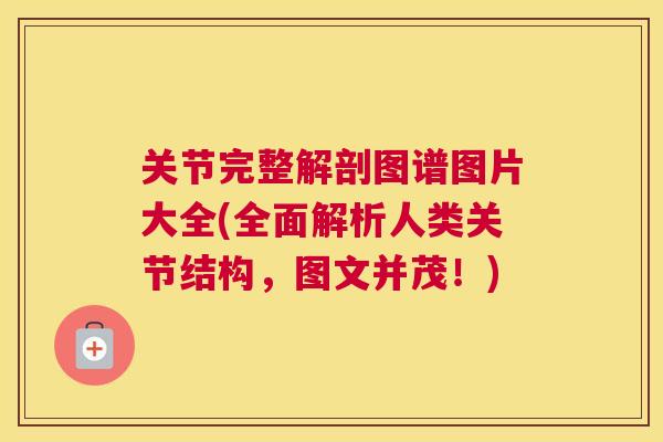 关节完整解剖图谱图片大全(全面解析人类关节结构,图文并茂!) 关节完整解剖图谱图片大全(全面解析人类关节结构,图文并茂!)