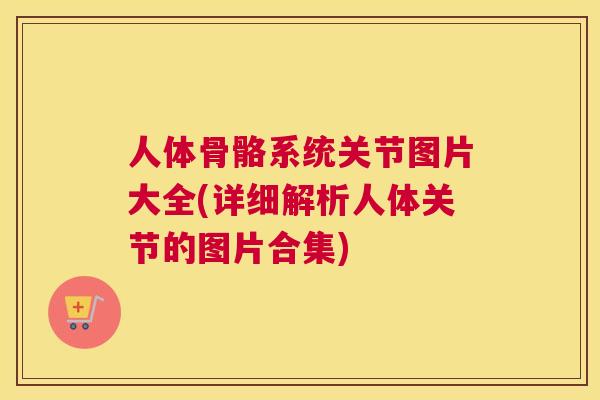 人体骨骼系统关节图片大全(详细解析人体关节的图片合集)