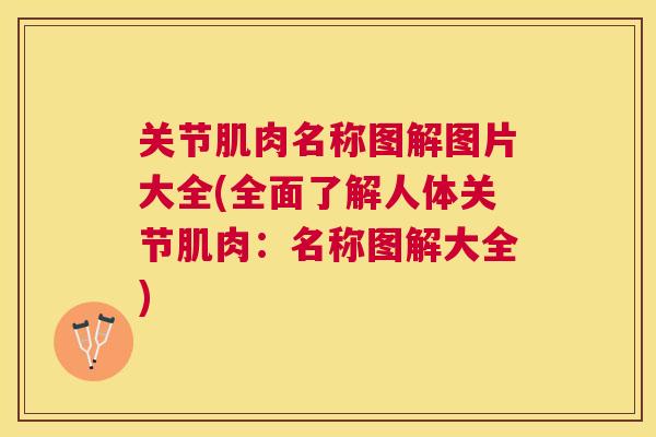 关节肌肉名称图解图片大全(全面了解人体关节肌肉：名称图解大全)