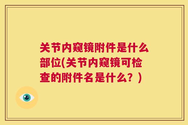 关节内窥镜附件是什么部位(关节内窥镜可检查的附件名是什么?) 关节内窥镜附件是什么部位(关节内窥镜可检查的附件名是什么?)