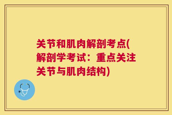 关节和肌肉解剖考点(解剖学考试:重点关注关节与肌肉结构)