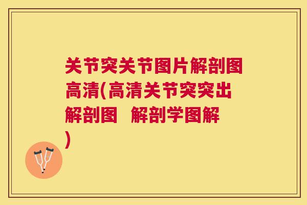 关节突关节图片解剖图高清(高清关节突突出解剖图  解剖学图解)