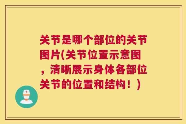 关节是哪个部位的关节图片(关节位置示意图,清晰展示身体各部位关节的位置和结构!)