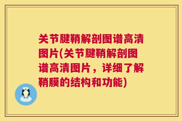 关节腱鞘解剖图谱高清图片(关节腱鞘解剖图谱高清图片,详细了解鞘膜的结构和功能)