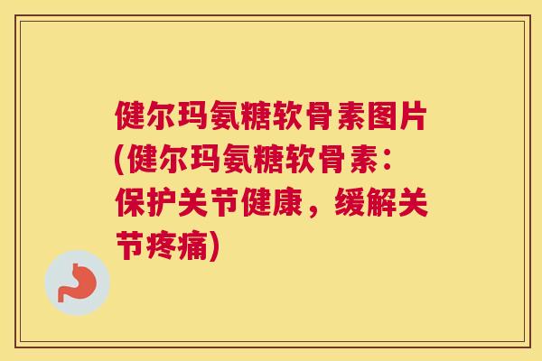 健尔玛氨糖软骨素图片(健尔玛氨糖软骨素：保护关节健康，缓解关节疼痛)