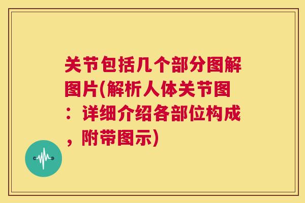 关节包括几个部分图解图片(解析人体关节图：详细介绍各部位构成，附带图示)
