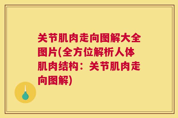 关节肌肉走向图解大全图片(全方位解析人体肌肉结构：关节肌肉走向图解)